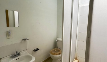 PASEOS DE LA CONFIANZA II  70 10.jpg